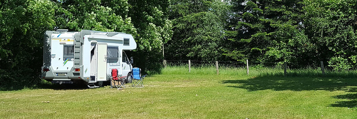 Camping Godau — photo 2